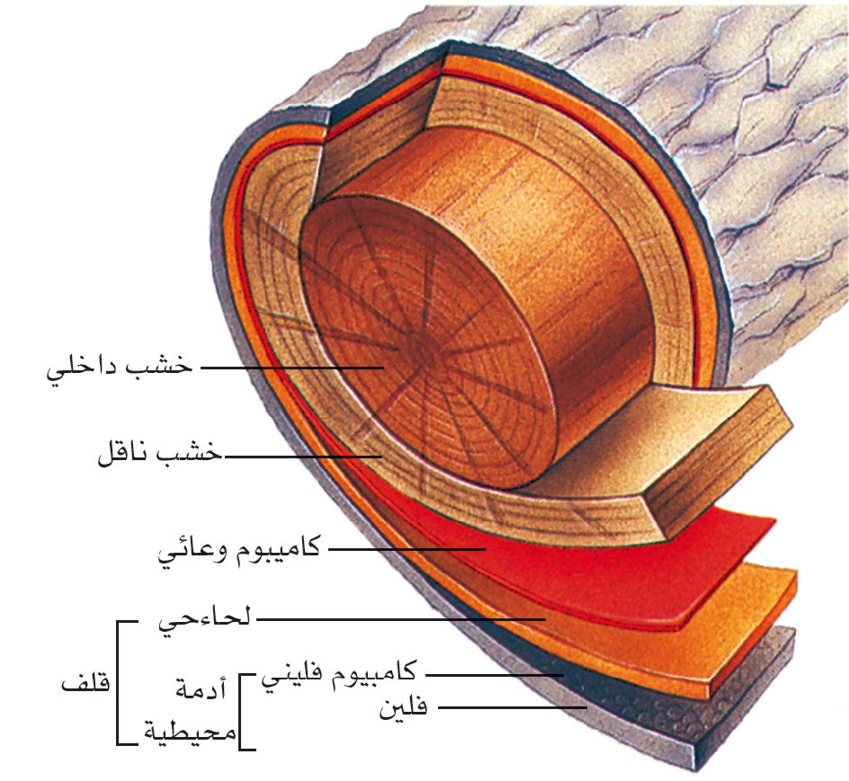 الرسم التخطيطي المجاور يمثل تركيب