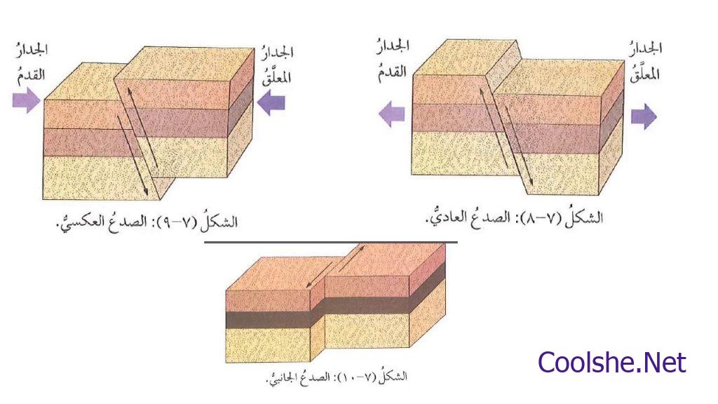 تشابك السلاسل الغذائية بعضها مع بعض يسمى